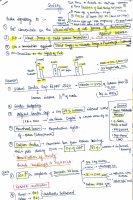 Society shorts Notes.pdf